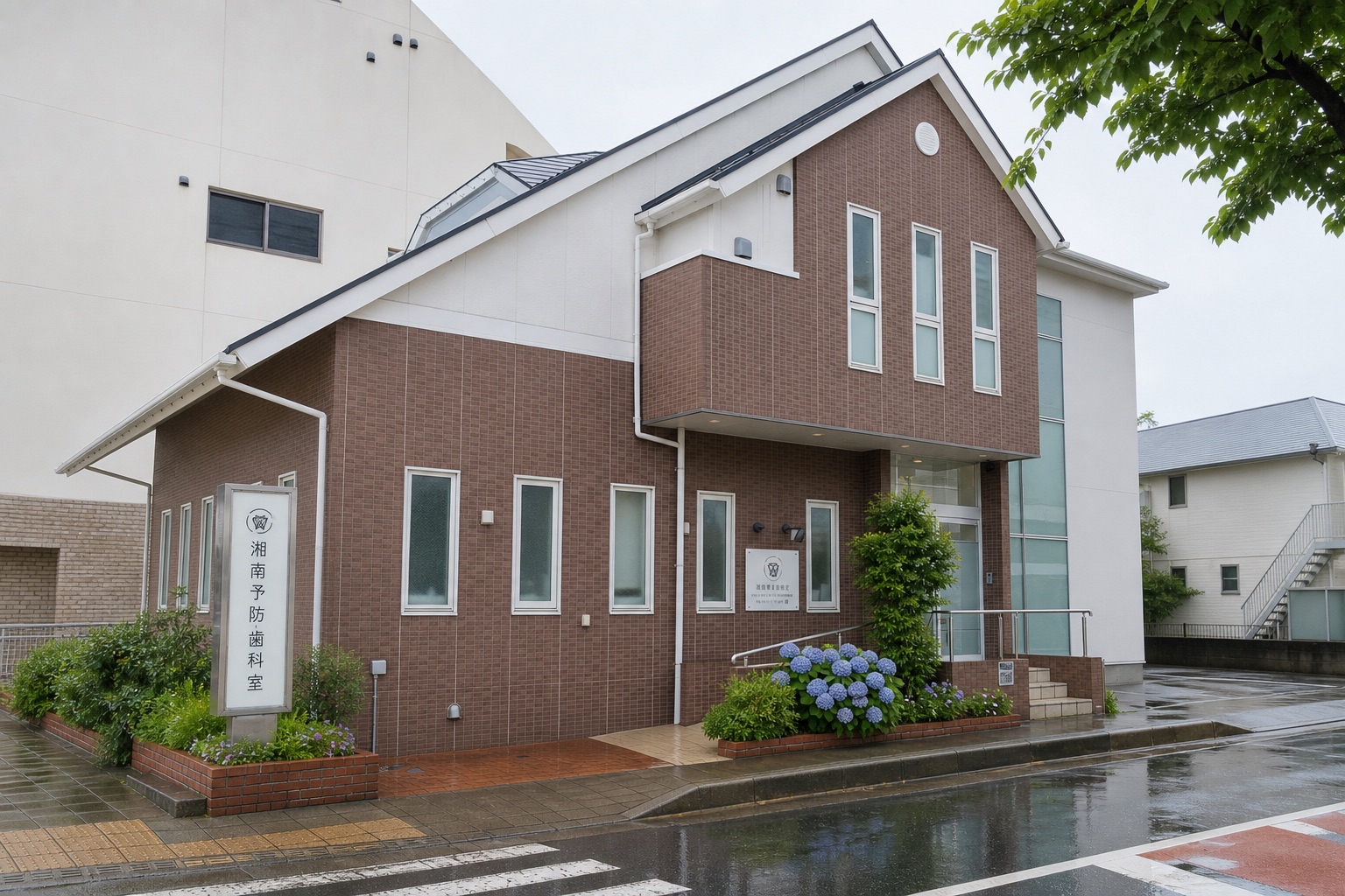 雨上がりの6月にアジサイが咲く湘南予防・歯科室の外観と入口
